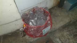 단독주택 지역의 배출 여건 등을 감안해 1년의 계도기간을 두고 홍보 및 현장수거 여건을 보완할 계획이다. /사진제공=환경부