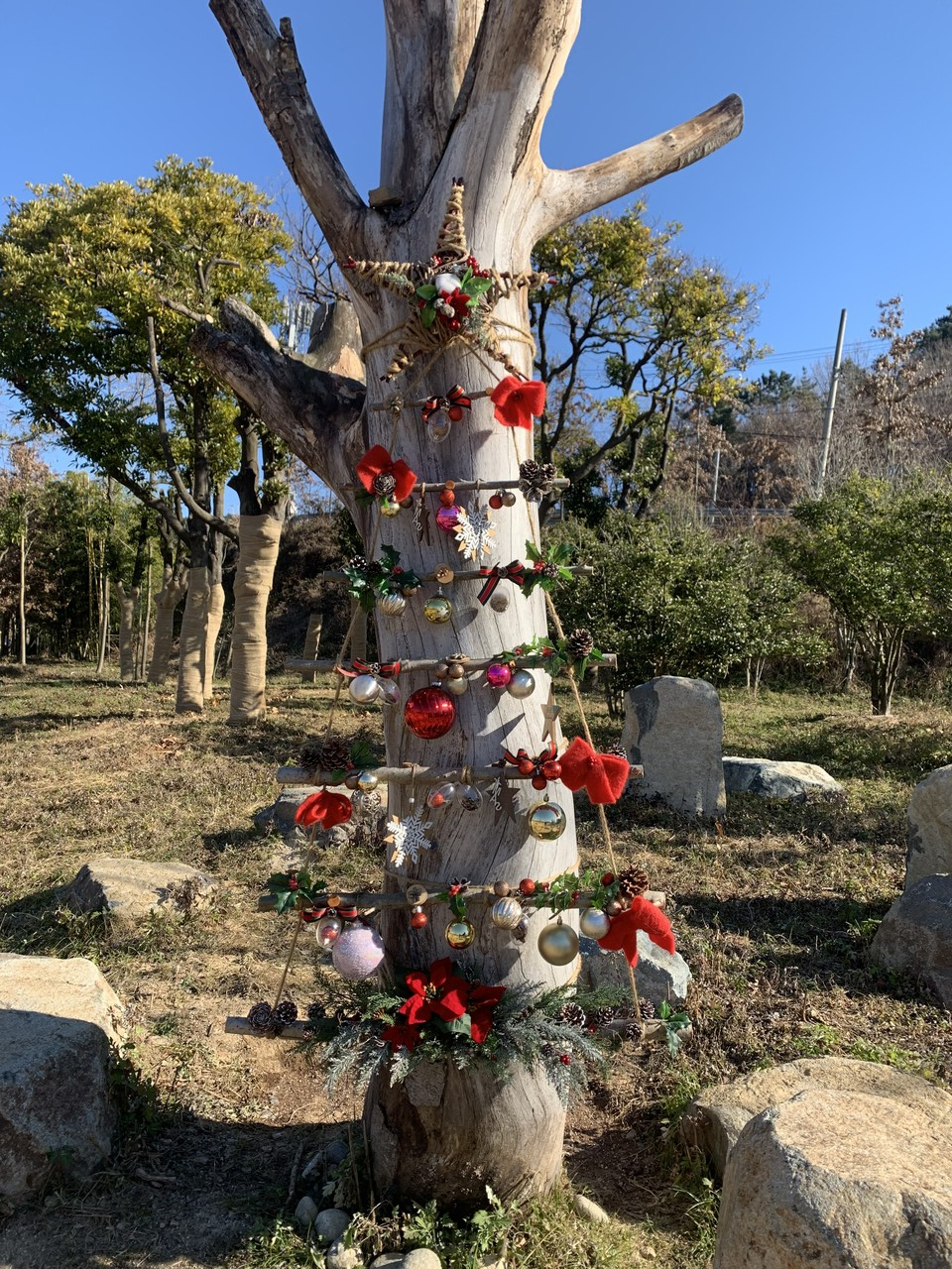 크리스마스 행잉트리 /사진제공=부산시 해운대수목원