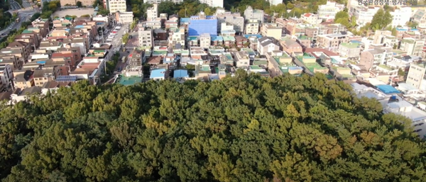 국가도시공원 활성화를 통해 탄소중립 및 국가균형발전 방안을 모색하는 토론회가 26일 서울숲 커뮤니티센터에서 열린다.