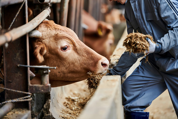 1500만명의 반려인뿐만 아니라 축산업에 이용되는 동물들의 복지에도 신경써야 한다는 지적이다.
