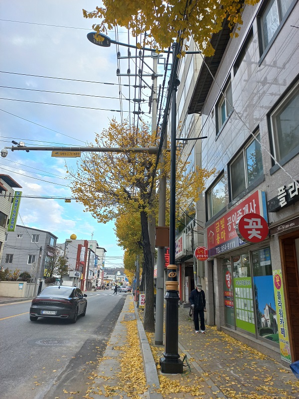 노후가로등 교체 후/ 사진제공=안동시
