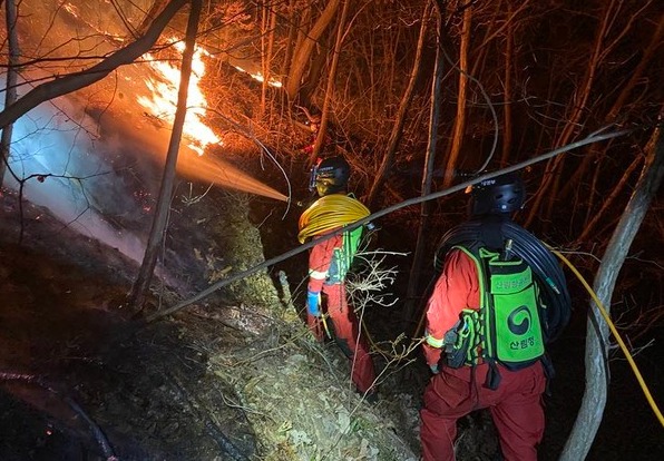 화마와 싸우고 있는 산불진화 대원들 /사진제공=산림청
