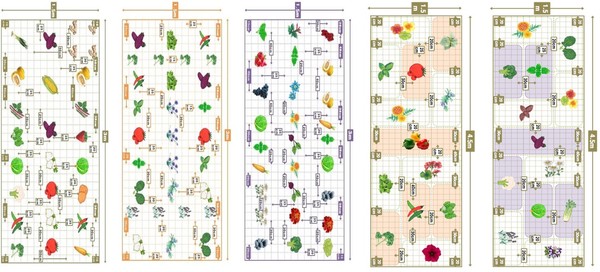 동반식물 활용 텃밭 모형. 왼쪽부터 맛텃밭, 숨텃밭, 멋텃밭, 빛텃밭, 꿈텃밭 /자료제공=농촌진흥청