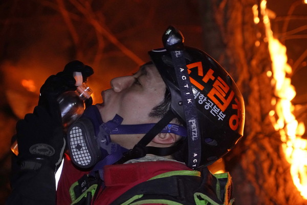 울진 금강소나무숲 지키기 위해 밤샘 산불진화를 한 산불진화대원이 목을 축이고 있다. /사진제공=산림청