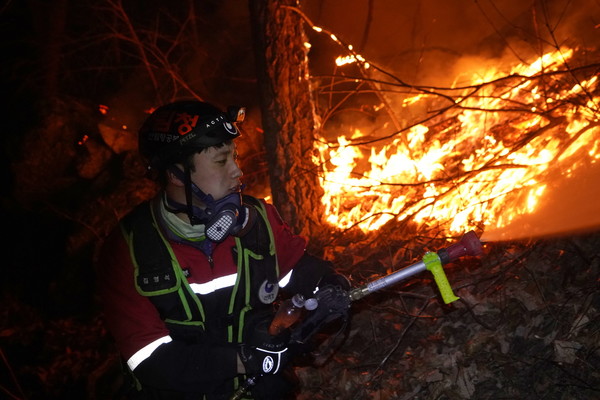공중진화대원 울진 금강소나무숲을 지키기 위해 총력을 다하고 있다. /사진제공=산림청