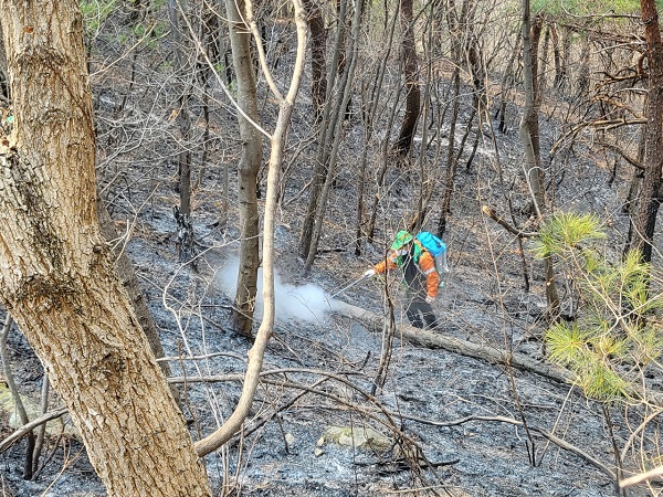 울진군 산불 화재 현장 지원한 경산시자율방재단 /사진제공=경산시