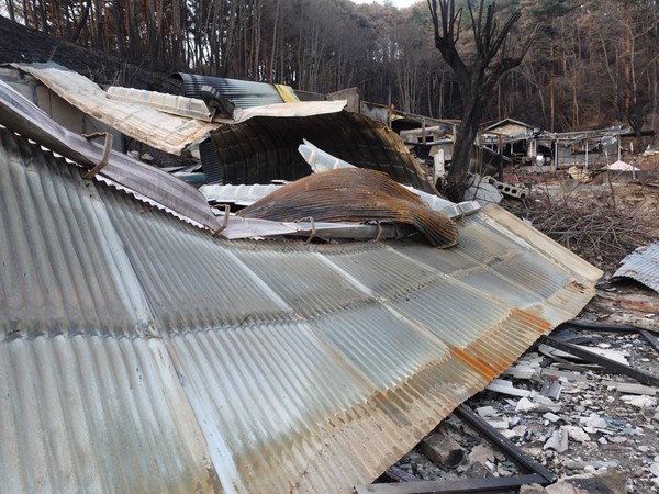 울진 소곡1리 마을은 한 채도 빠짐없이 전부 폐허가 됐다. /사진=김인성 기자