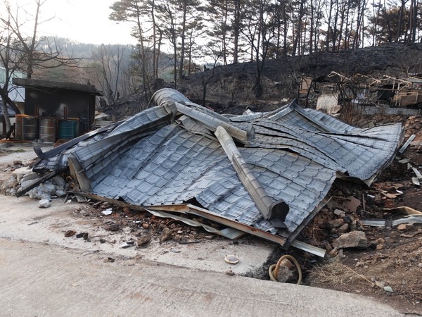 고령 노인들의 주거가 대부분이었기에 산불에 따른 피해가 더 막심한 상태다. /사진=김인성 기자