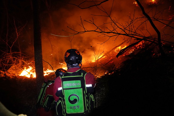 최근 강원 지역에서 발생한 산불은 역대 최장 산불로 기록됐다. 기후변화로 건조해진 산림이 피해를 키운 원인으로 지목된다. /사진제공=산림청