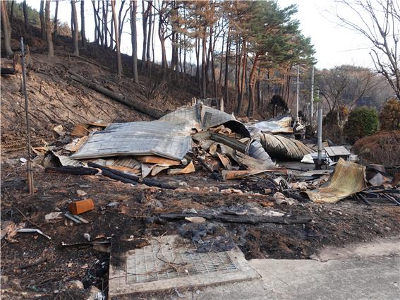 울진의 한 민가 주택이 산불로 인해 지붕 채 주저앉은 모습 /사진=김인성 기자