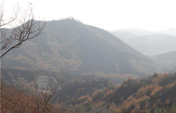 동해안 일대에서 보이는 산의 모든 곳이 그을음이 져있다. 노란색으로 소나무 또한 산불로 인해 죽은 나무들이다. /사진=김인성 기자