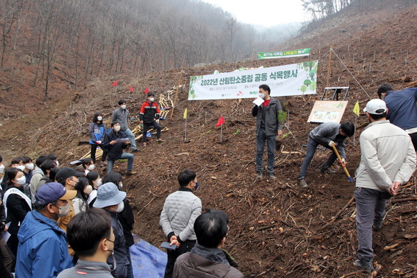 /사진=한국임업진흥원