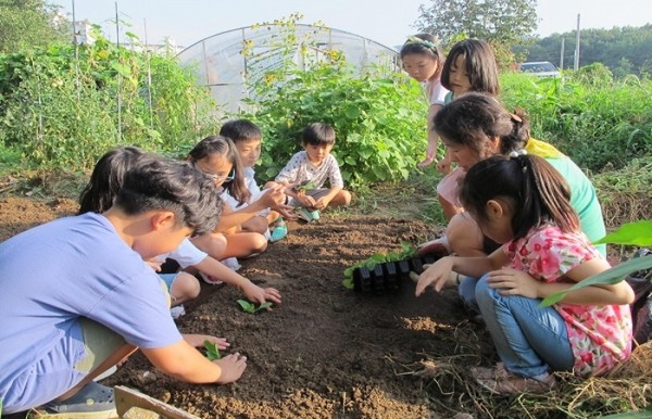 교육문화공동체 텃밭 활동 /사진제공=경기도