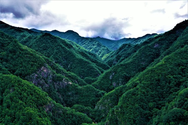 응봉산 /사진제공=녹색연합