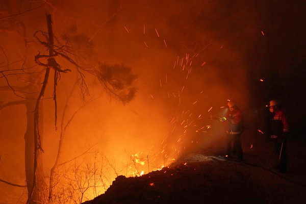 산림청은 이날 4월4일부터 11일까지 하루 평균 10건 이상의 산불이 발생하며, 대형산불의 위험이 매우 높은 상태임을 밝혔다. /사진제공=산림청