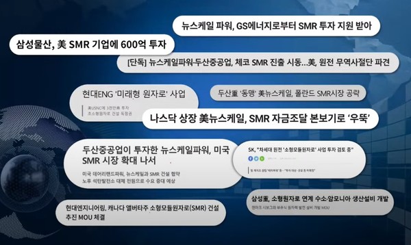 해외 기업 SMR 사업에 투자하고 있는 국내 대기업들 /자료제공=정동욱 한국원자력학회 회장