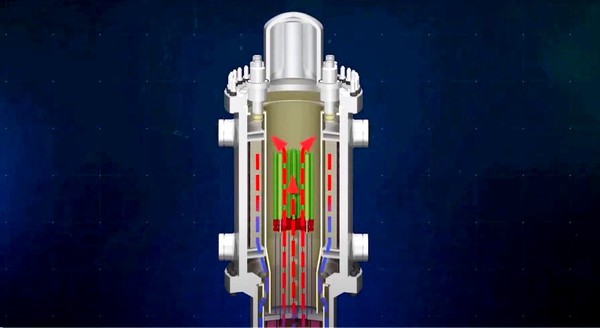 소형모듈원자로(SMR)의 내부 모습 /자료제공=이원옥 의원실