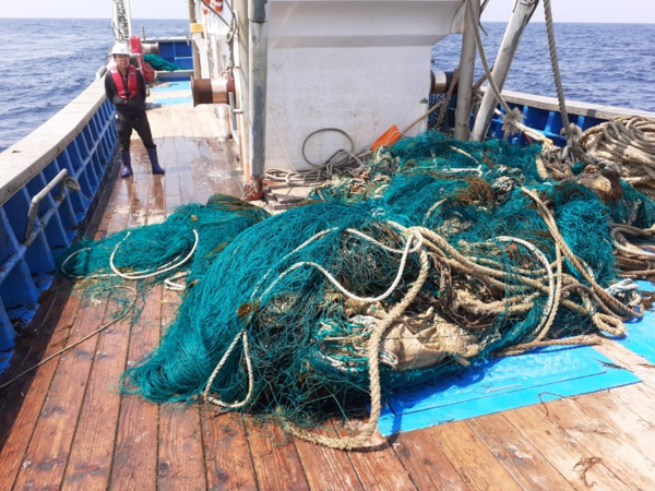 인양된 범장망 그물 /사진=해양수산부