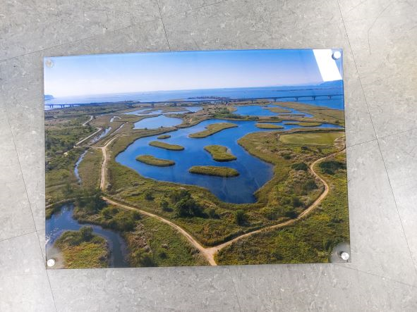 낙동강하구 사진 /사진제공=부산시