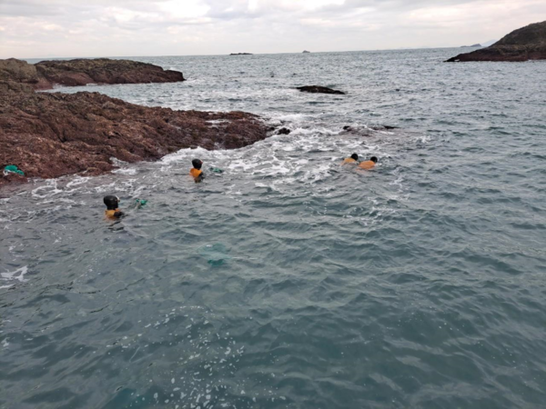 전복 종자 방류 모습 /사진제공=한국수산자원공단