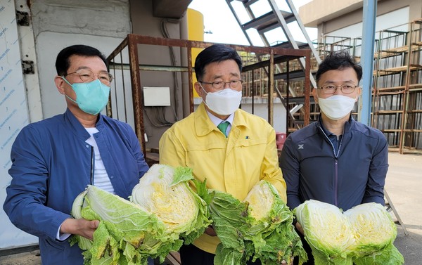 /사진=한국농수산식품유통공사