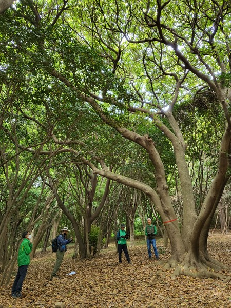 /사진제공=국립산림과학원