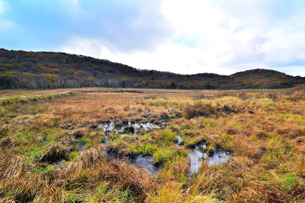 대암산 용늪 /사진=환경부