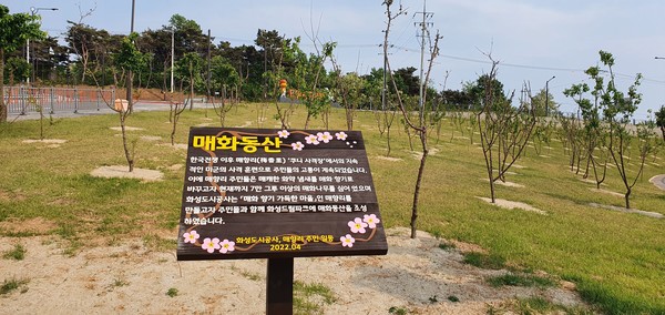 화성도시공사, 매향리 매화동산 조성사업 완료했다 /사진제공=화성도시공사 