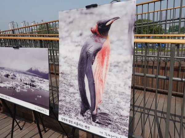 제27회 환경의 날을 통해 세계 최초로 공개되는 지구온난화, 환경영상 포토북 김완수 작가 전시 작품 /사진=김인성 기자