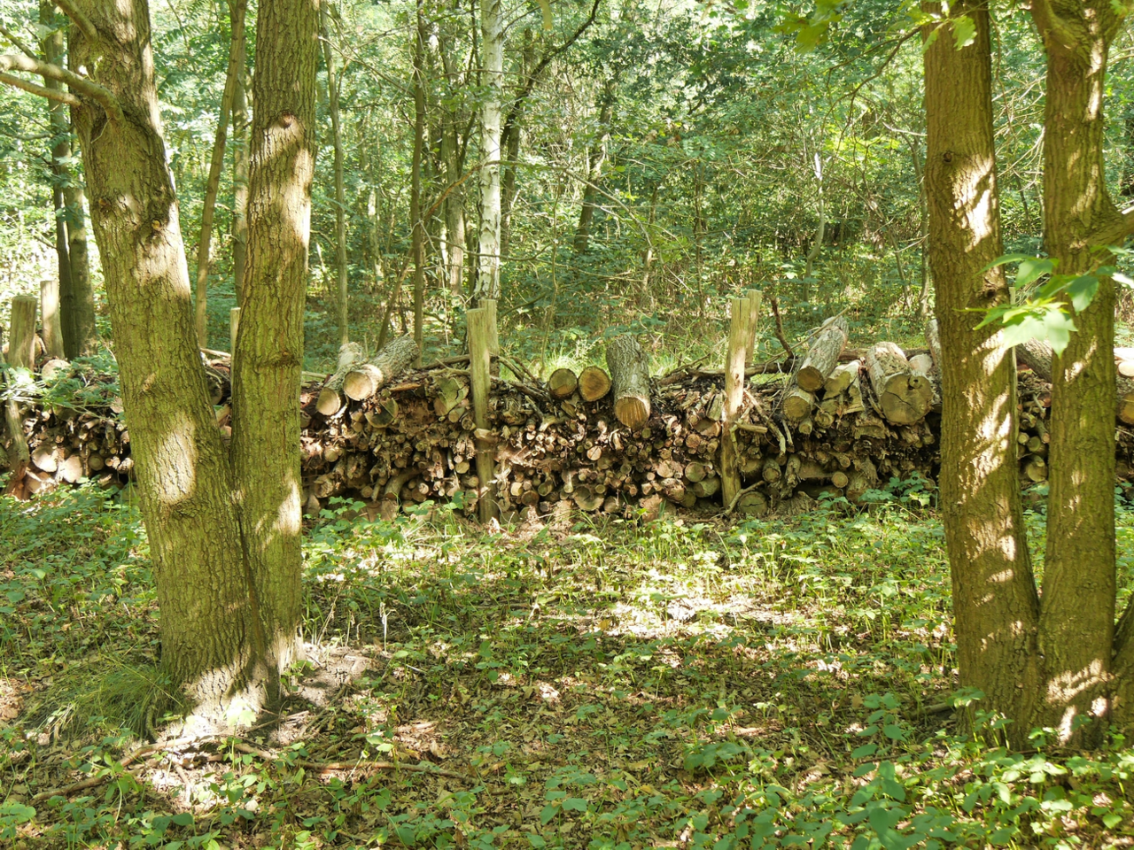 폐목 활용한 다공질 생물서식공간 /사진제공=(사)부산그린트러스트