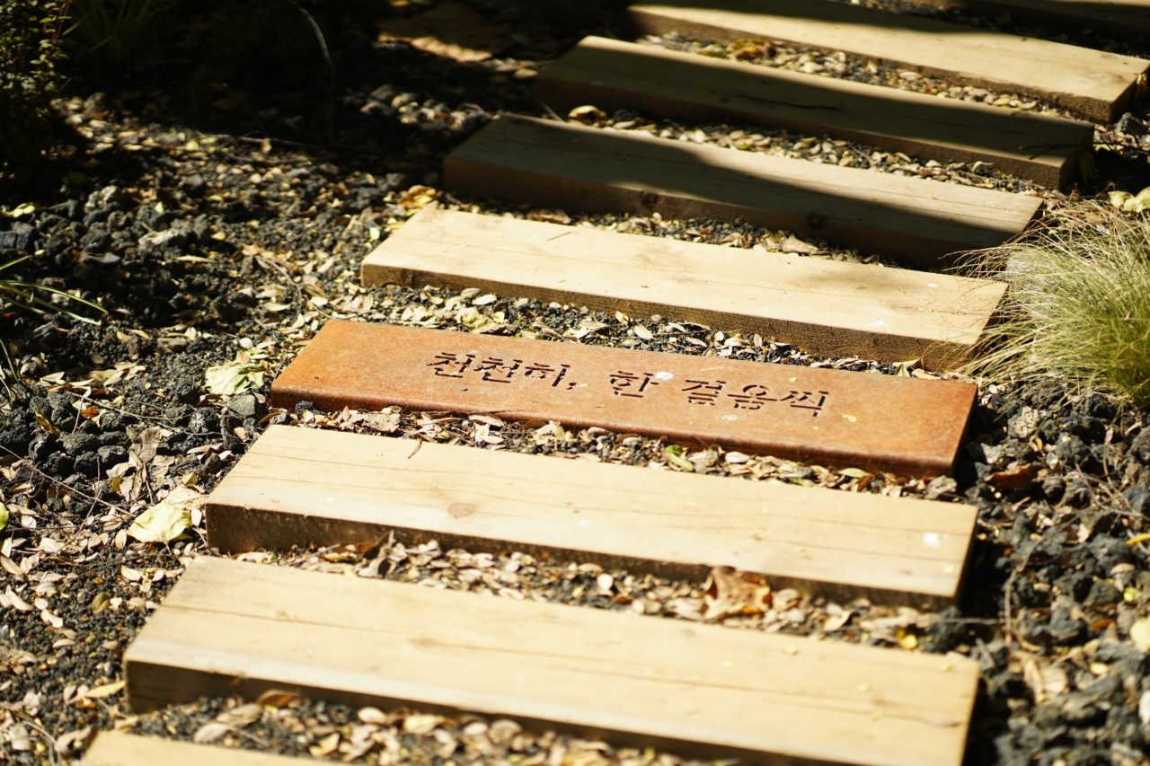 디딤목 /사진제공=(사)부산그린트러스트