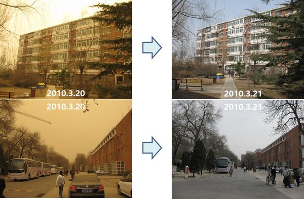 황사 발생 전·후 중국 북경임업대학 교내 /사진=국립산림과학원