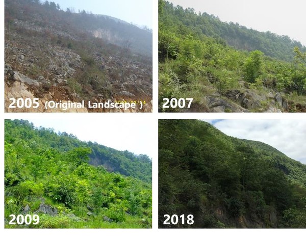 중국 귀주성 수문현 조림사업지 /사진=국립산림과학원