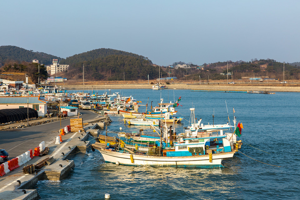 충남도는 소형선박을 위한 미세먼지 저감 설비 및 하이브리드 동력 전환 기술 시험 평가 등을 실시할 전문시험센터를 보령시 주포면 관산지구에 설치할 계획이다.