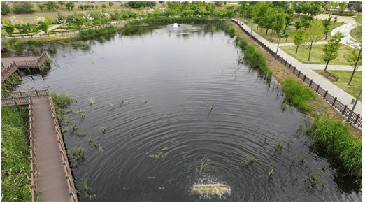 저수량 5000톤 용량의 연못에 설치 및 운전되고 있는 다기능 수질정화장치 /사진제공=코리아엔텍