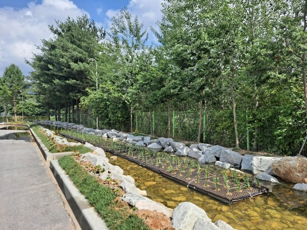 곡성 생태수로 현장 /사진=환경부