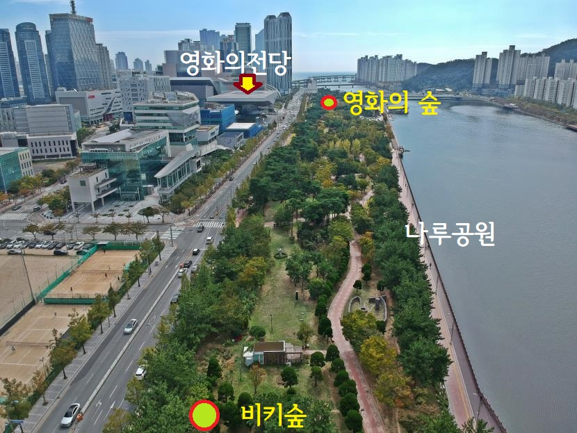 비키숲 조성지 주변 전경 /자료제공=(사)부산그린트러스트