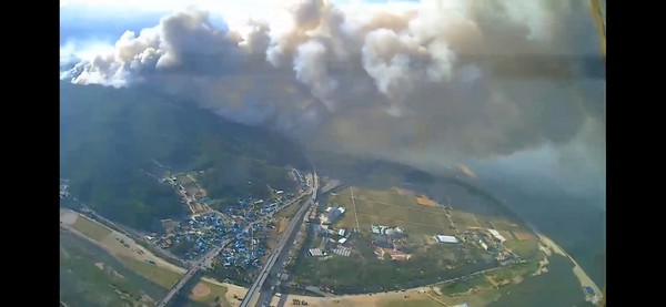 대형산불 현장 사진 울진, 밀양 /사진=국립산림과학원
