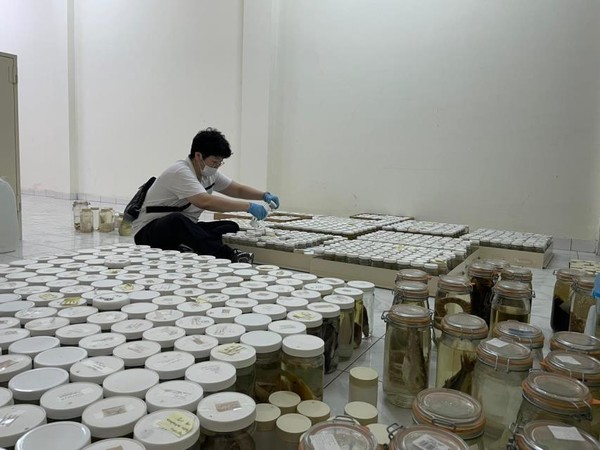 기증 표본 정리 /사진=국립생물자원관