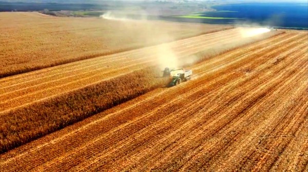 U.S. President Biden is focusing on bio-oriented policies with carbon neutrality and alternative fuels.