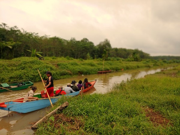 인도네시아 이탄지 /사진제공=국립산림과학원