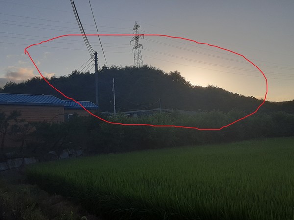 A업체가 매립장 건립 명목으로 매입한 주문진 향호리 야산 일대(빨간 부분). 규모는 10만여평에 이른다. /사진=최용구 기자