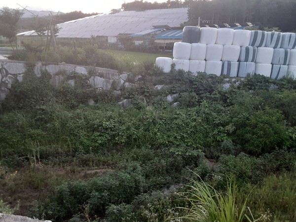 매립장 부지로 지목된 해당 장소 주변엔 축산농가들이 위치해 있었으며 소하천이 흐르고 있었다. /사진=최용구 기자