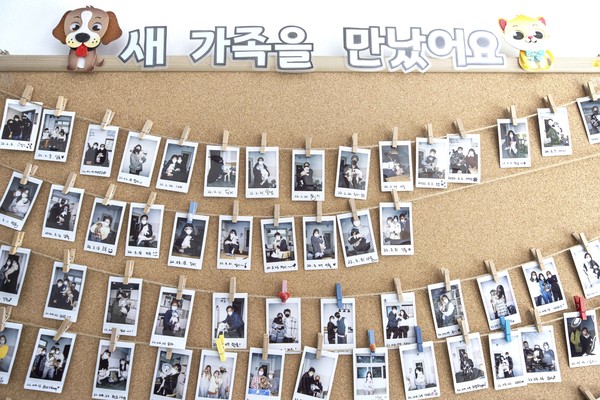 센터에서 새 가족을 만난 유기 동물들 /사진제공=용인시