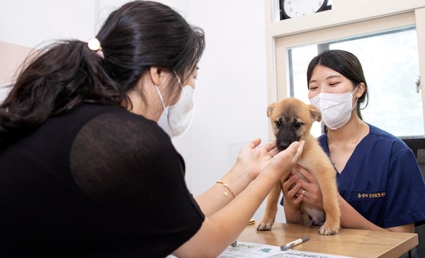 동물보호센터 유기동물 입양 상담 /사진제공=용인시