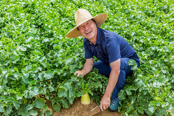 국내 식량주권 강화와 다각적인 물순환 및 활용을 위해 밭작물로의 전환은 불가피해 보인다.