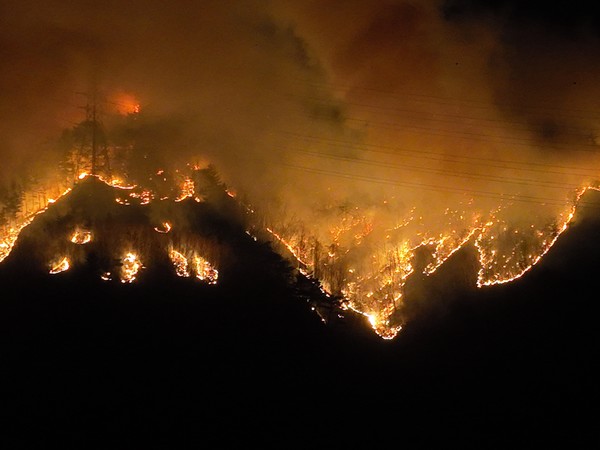 산불에 휩싸인 한울-신태백 345kv /사진제공=녹색연합