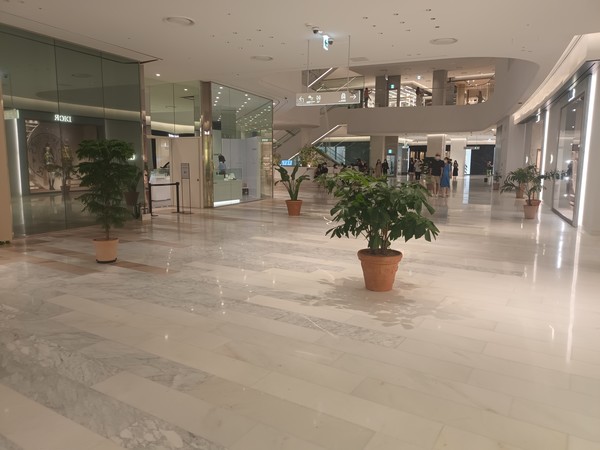 백화점 1층 물이 떨어지는 곳곳에 임시방편으로 화분들 수십개가 놓여진 모습 /사진=김인성 기자