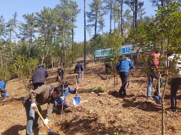 2022년 식목일 나무심기 행사 /사진제공=해남군