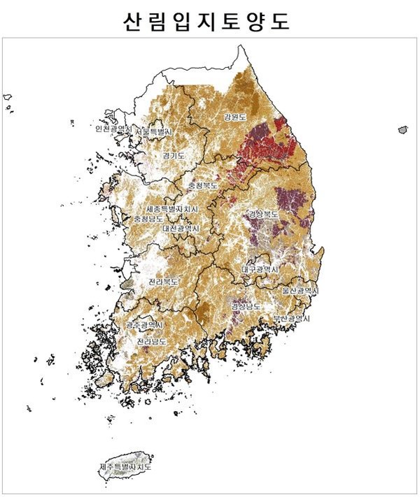 대축척 산림입지토양도 /자료제공=한국임업진흥원